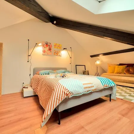 Apartment Superbe Contemporain Centre Mulhouse